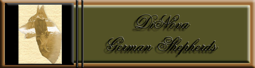 German_Shepherd_breeder